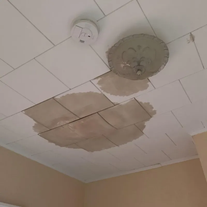 Ceiling Water Damage Repair in Scott County, TN