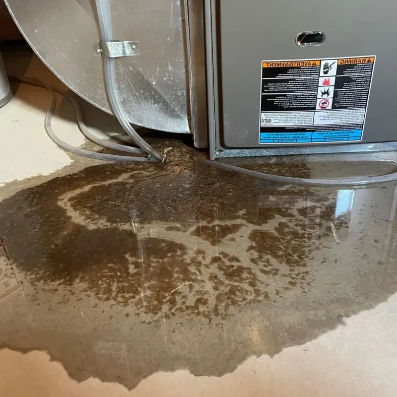 Pipe Burst and Leak Restoration in Scott County, TN