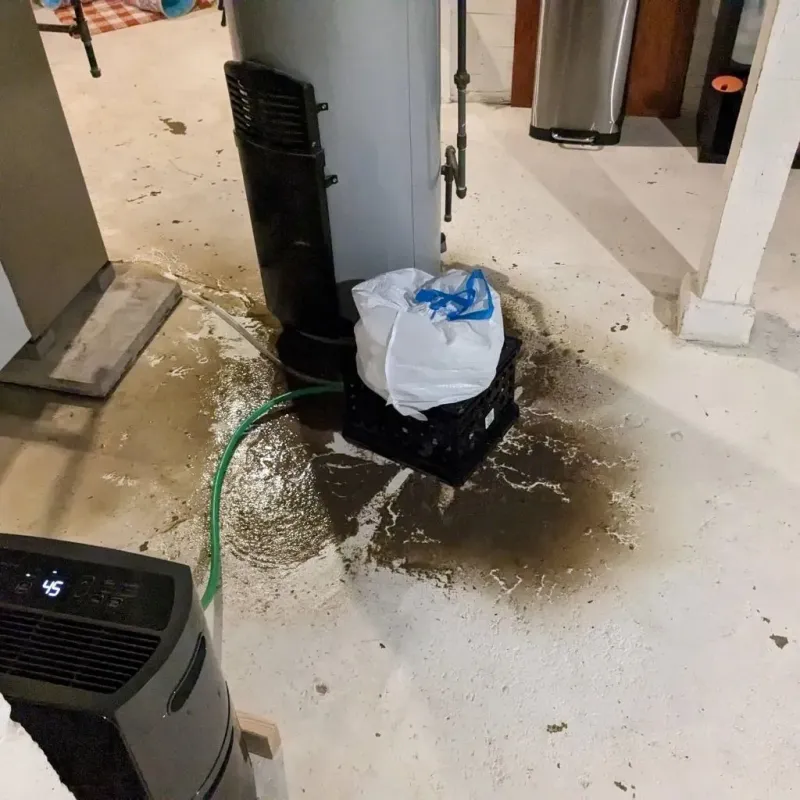Sewage Backup Cleanup Service in Scott County, TN